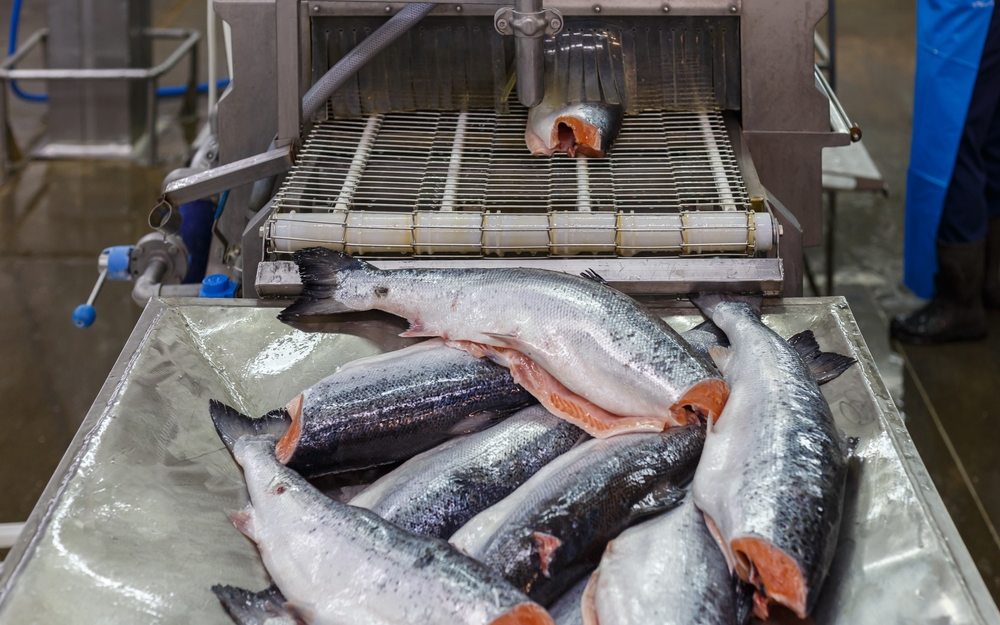 Pescado — unidades de transformação de peixe e bivalves